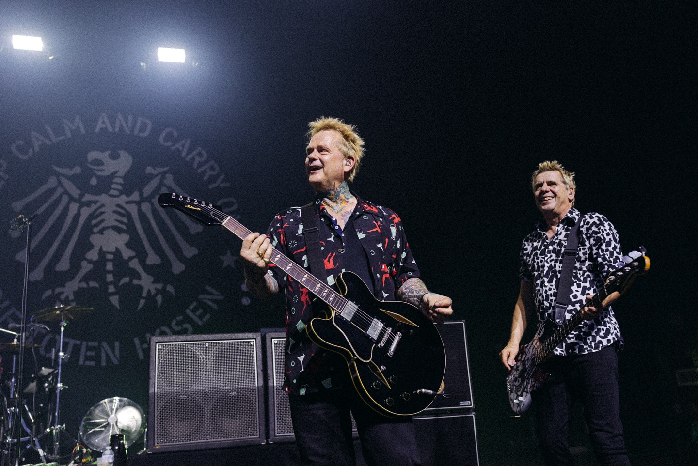 Die Toten Hosen